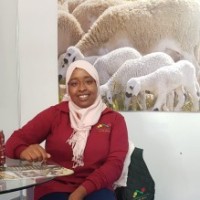 Profile picture of Bachou Safae