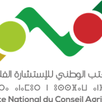 Logo du groupe مجموعة إقليم بولمان