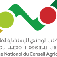 Logo du groupe مجموعة إقليم الحاجب