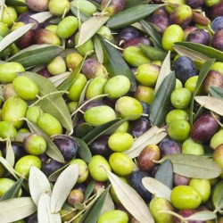 olives