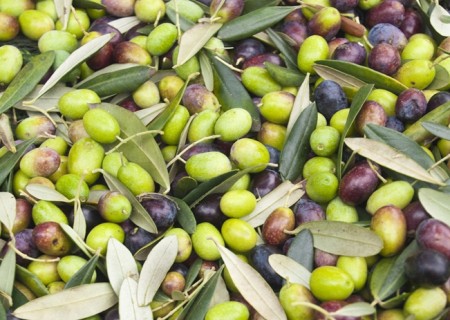 olives